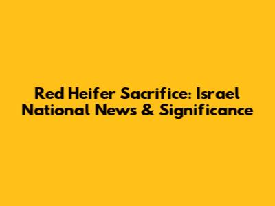 Red Heifer Sacrifice: Israel National News & Significance