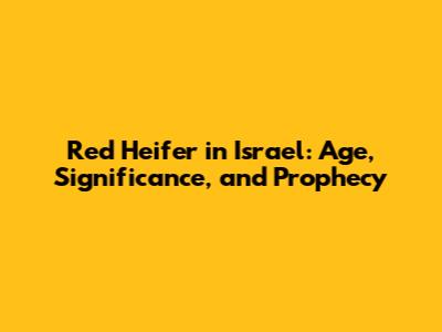Red Heifer in Israel: Age, Significance, and Prophecy