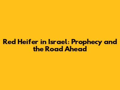 Red Heifer in Israel: Prophecy and the Road Ahead