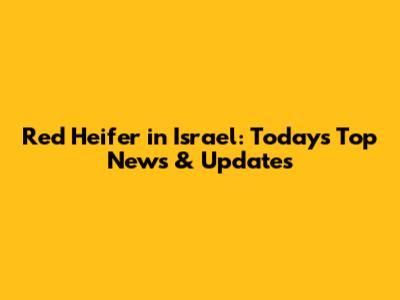 Red Heifer in Israel: Today's Top News & Updates