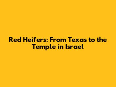 Red Heifers: From Texas to the Temple in Israel