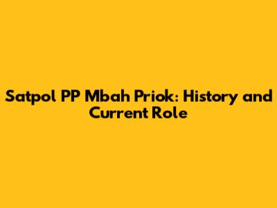 Satpol PP Mbah Priok: History and Current Role