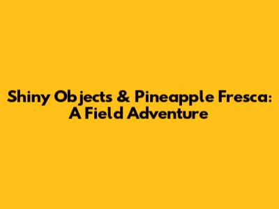 Shiny Objects & Pineapple Fresca: A Field Adventure