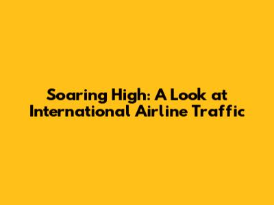 Soaring High: A Look at International Airline Traffic