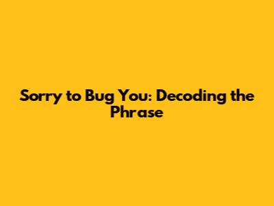Sorry to Bug You: Decoding the Phrase