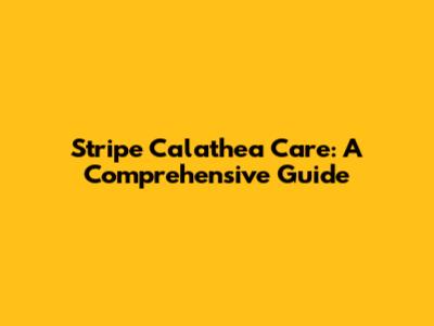 Stripe Calathea Care: A Comprehensive Guide