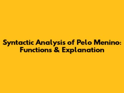 Syntactic Analysis of 'Pelo Menino': Functions & Explanation