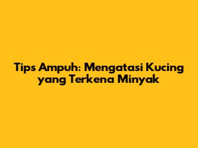 Tips Ampuh: Mengatasi Kucing yang Terkena Minyak