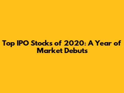 Top IPO Stocks of 2020: A Year of Market Debuts