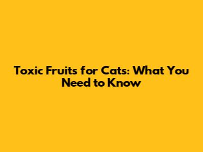 Toxic Fruits for Cats: What You Need to Know