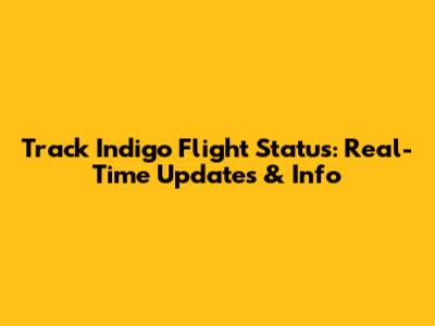 Track Indigo Flight Status: Real-Time Updates & Info