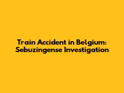 Train Accident in Belgium: Sebuzingense Investigation