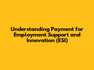 Understanding Payment for Employment Support and Innovation (ESI)