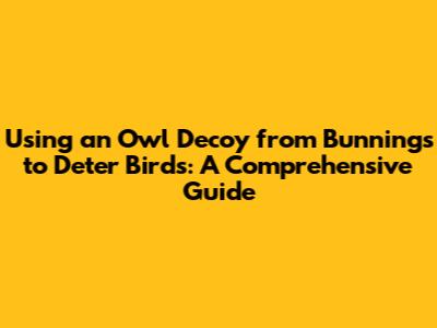 Using an Owl Decoy from Bunnings to Deter Birds: A Comprehensive Guide