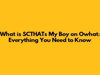 What is SCTHAT's My Boy on Owhat: Everything You Need to Know
