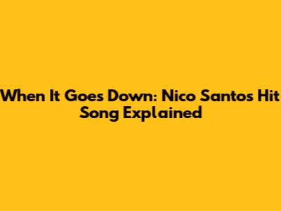 When It Goes Down: Nico Santos' Hit Song Explained