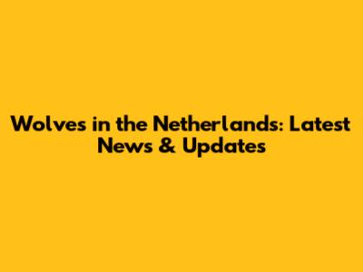 Wolves in the Netherlands: Latest News & Updates