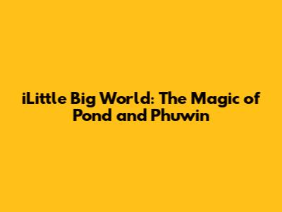 iLittle Big World: The Magic of Pond and Phuwin