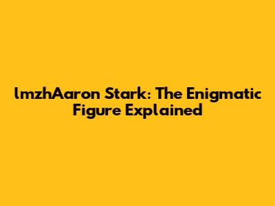lmzhAaron Stark: The Enigmatic Figure Explained